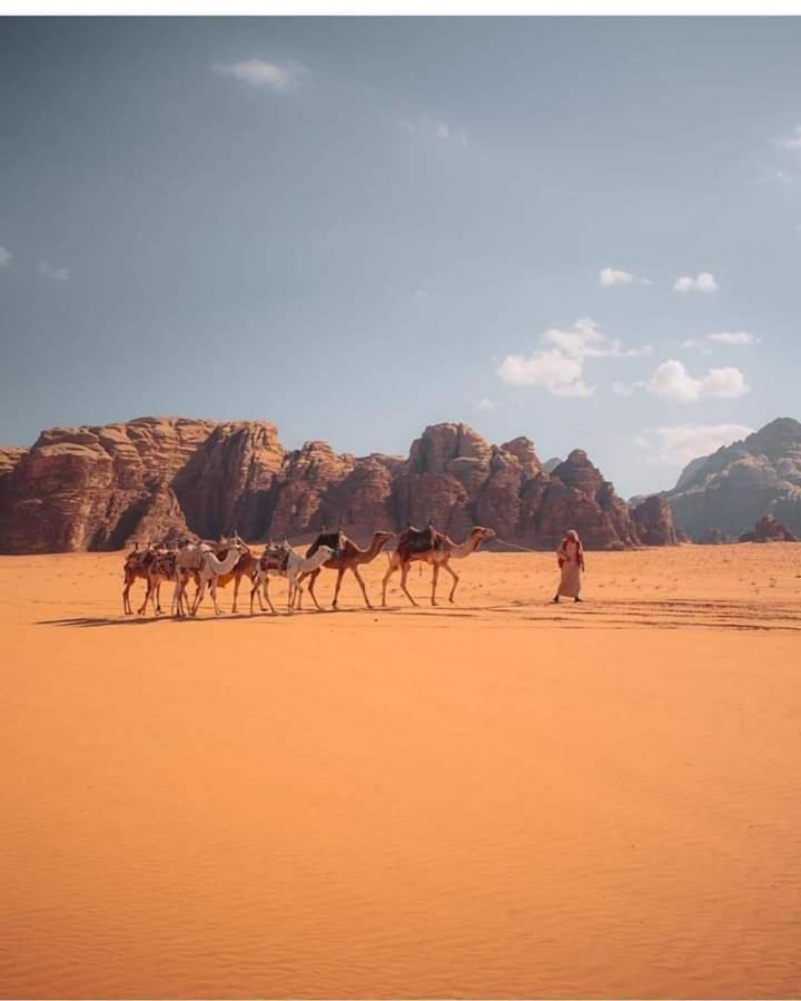 Wadi Rum Galaxy Camp Ngoại thất bức ảnh